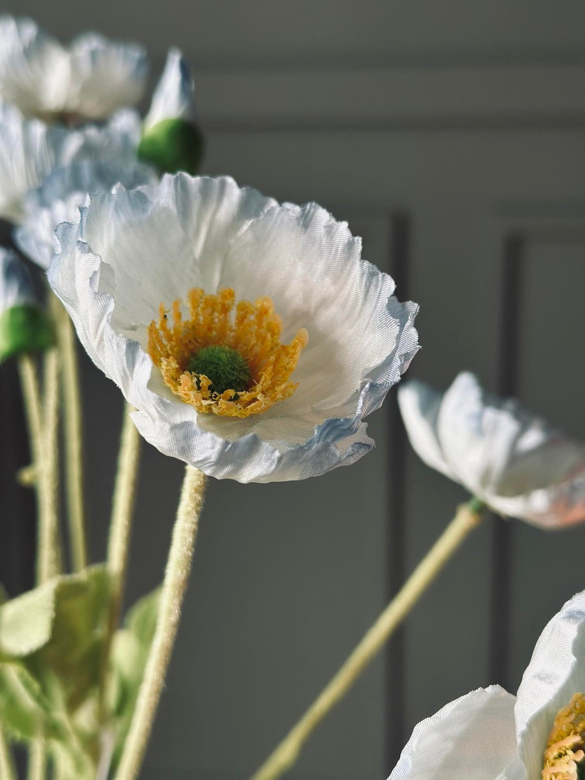 Boeket blauwe klaprozen