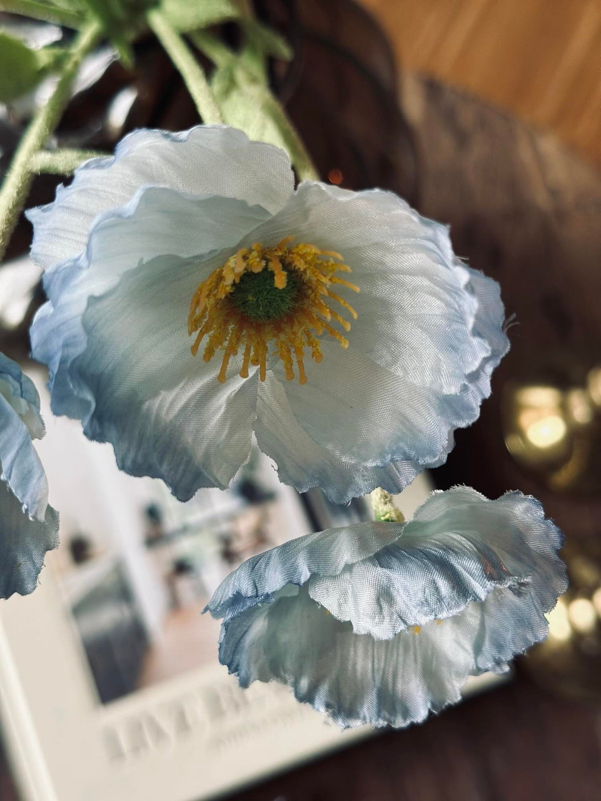Boeket blauwe klaprozen