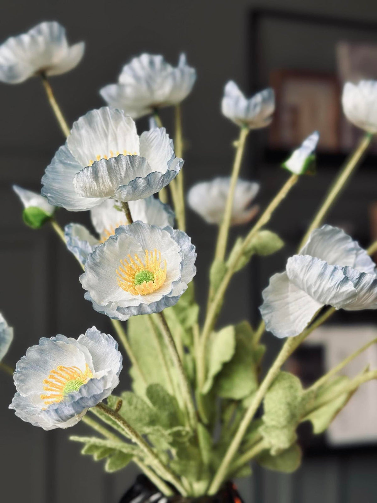 Boeket blauwe klaprozen