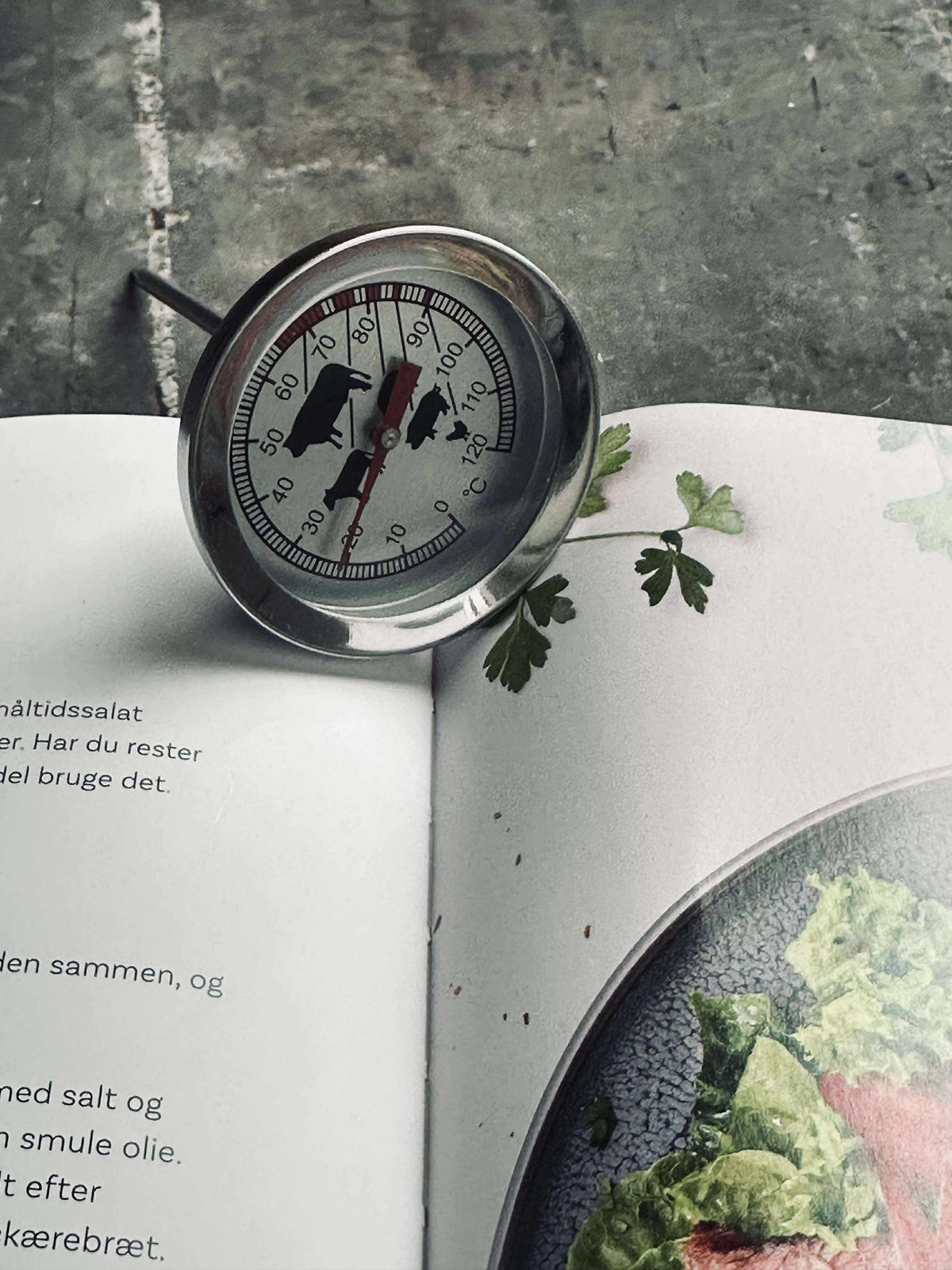 Thermometer voor vlees