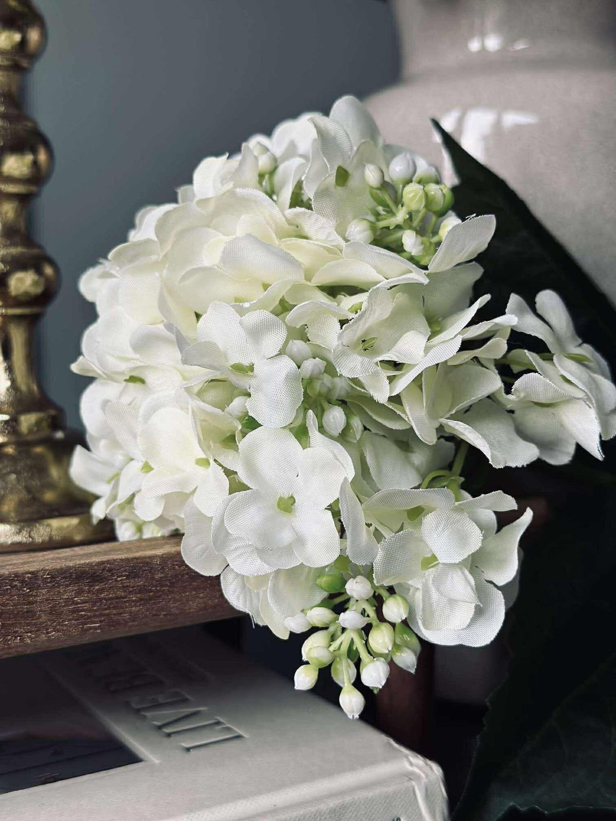 Hortensia Wit