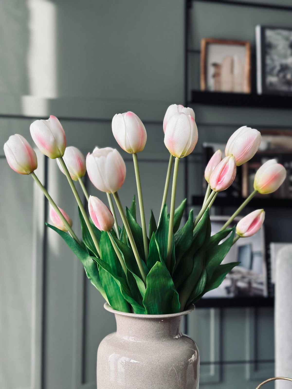 Tulpen – Meerdere kleuren