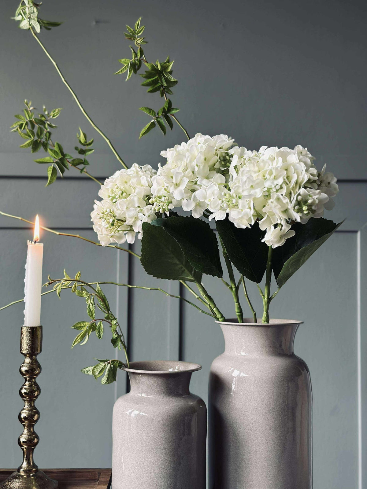 Hortensia Wit