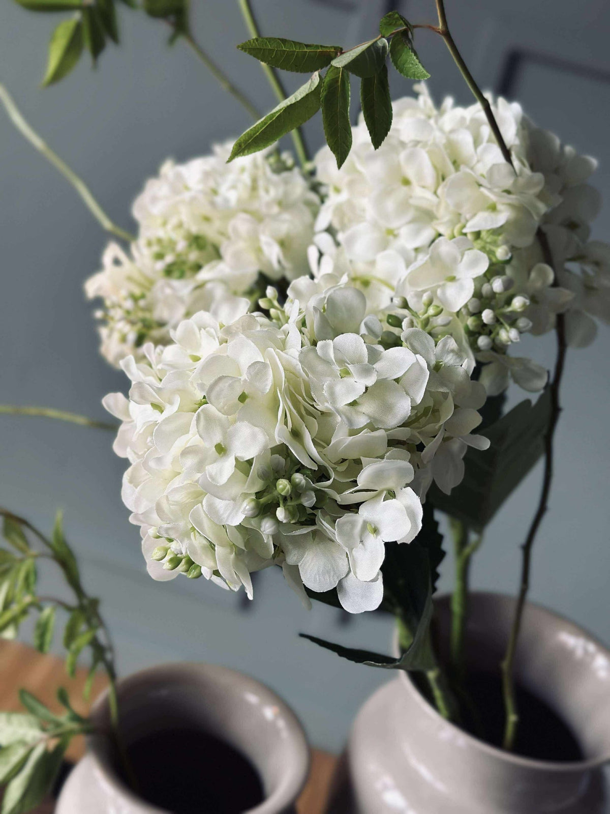 Hortensia Wit