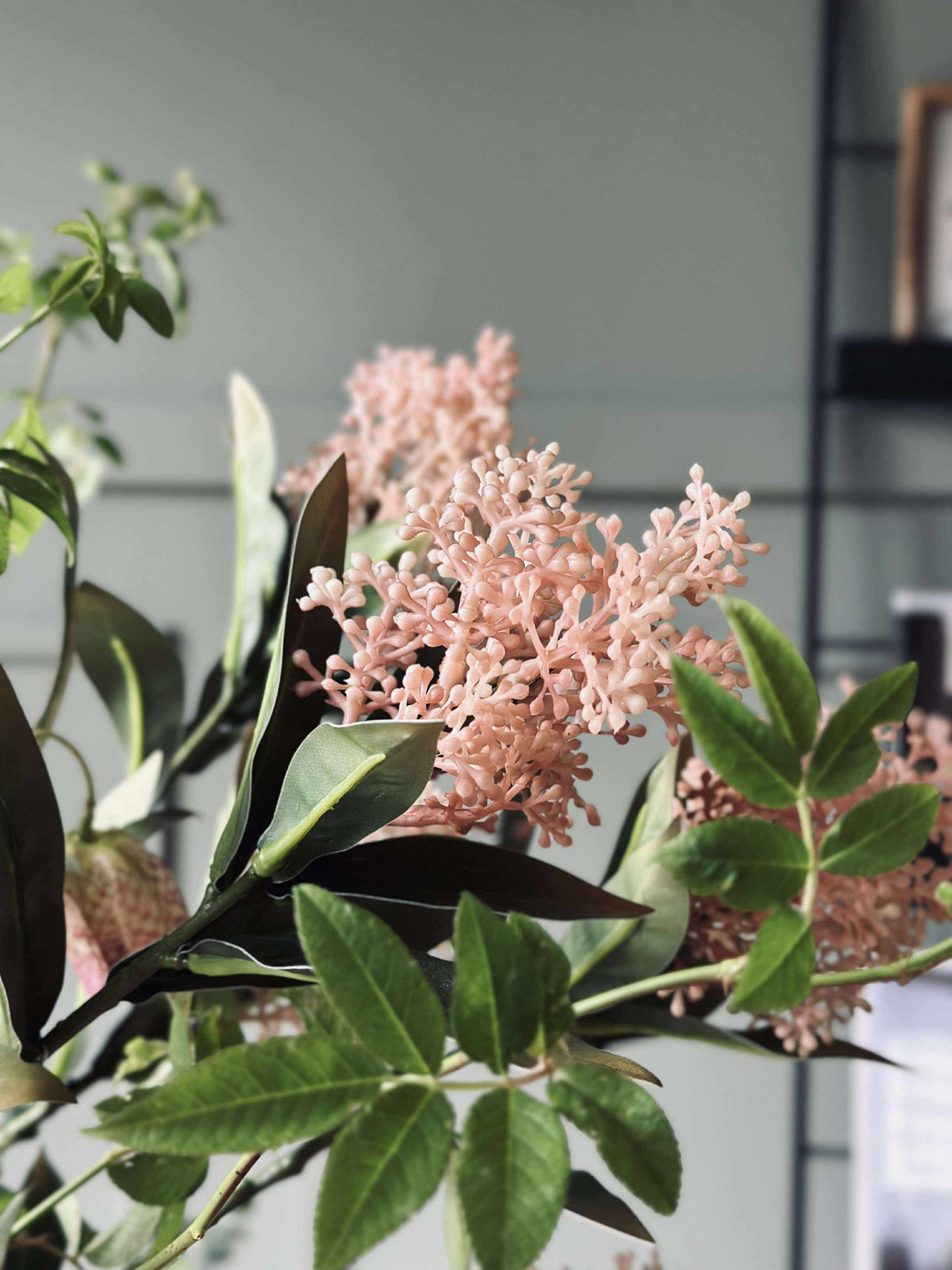 Bloemenstengel -skimmia  MIX