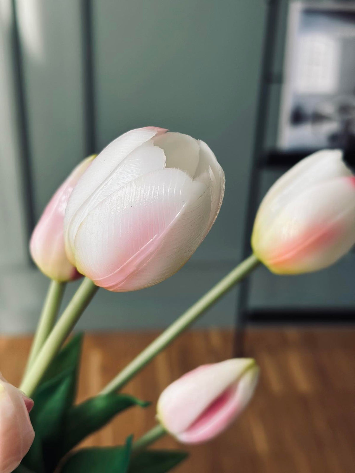 Tulpen – Meerdere kleuren