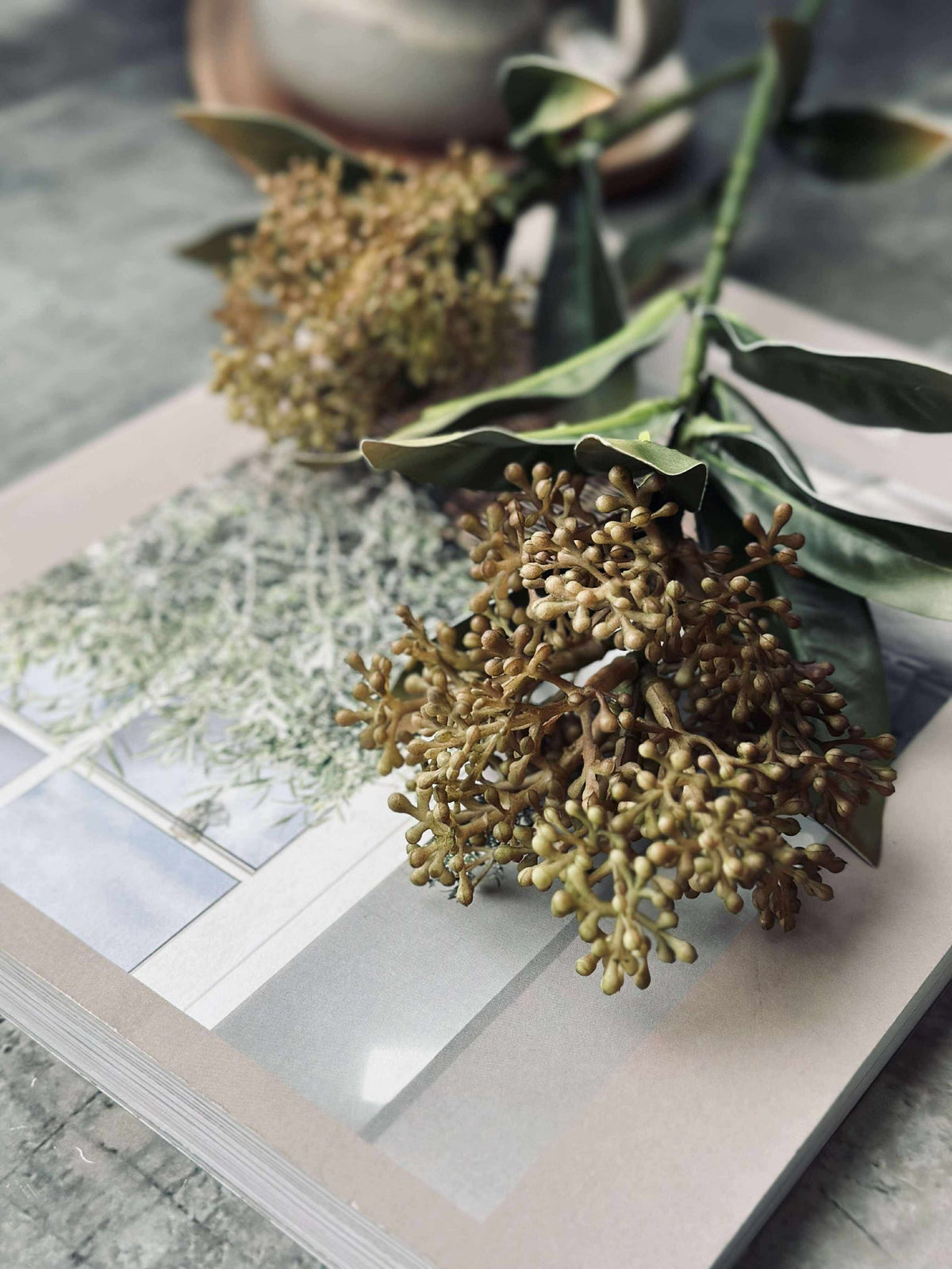 Bloemenstengel -skimmia  MIX