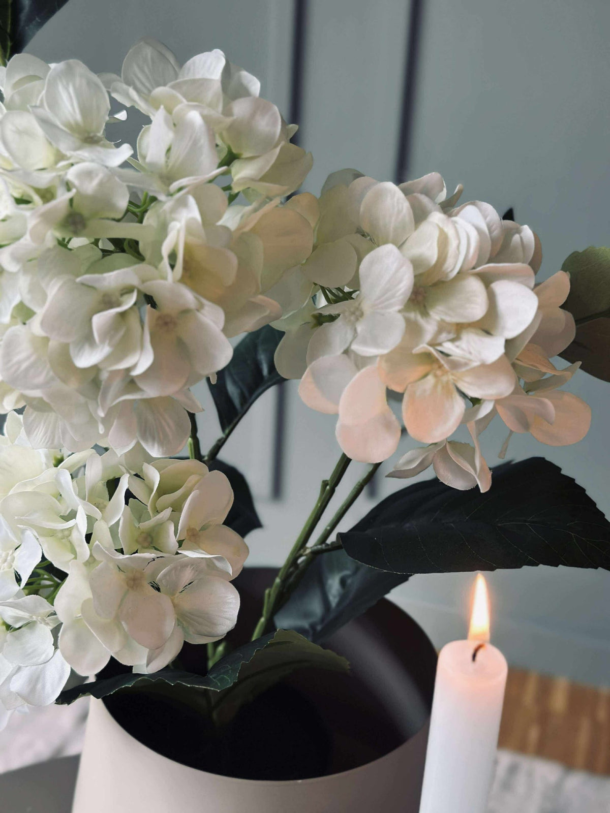 Hortensia in pot - Wit