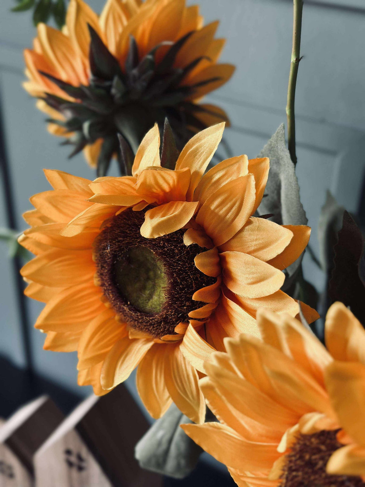 Zonnebloem