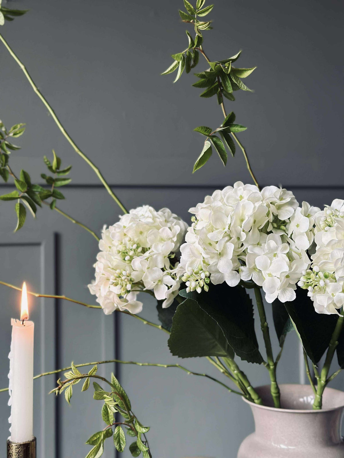 Hortensia Wit