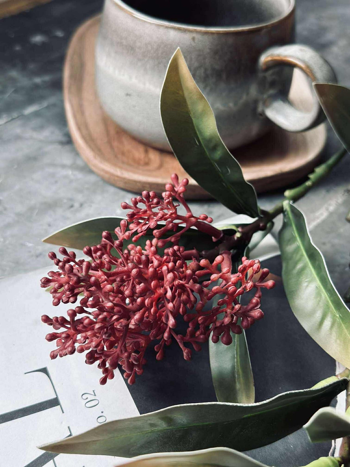 Bloemenstengel -skimmia  MIX