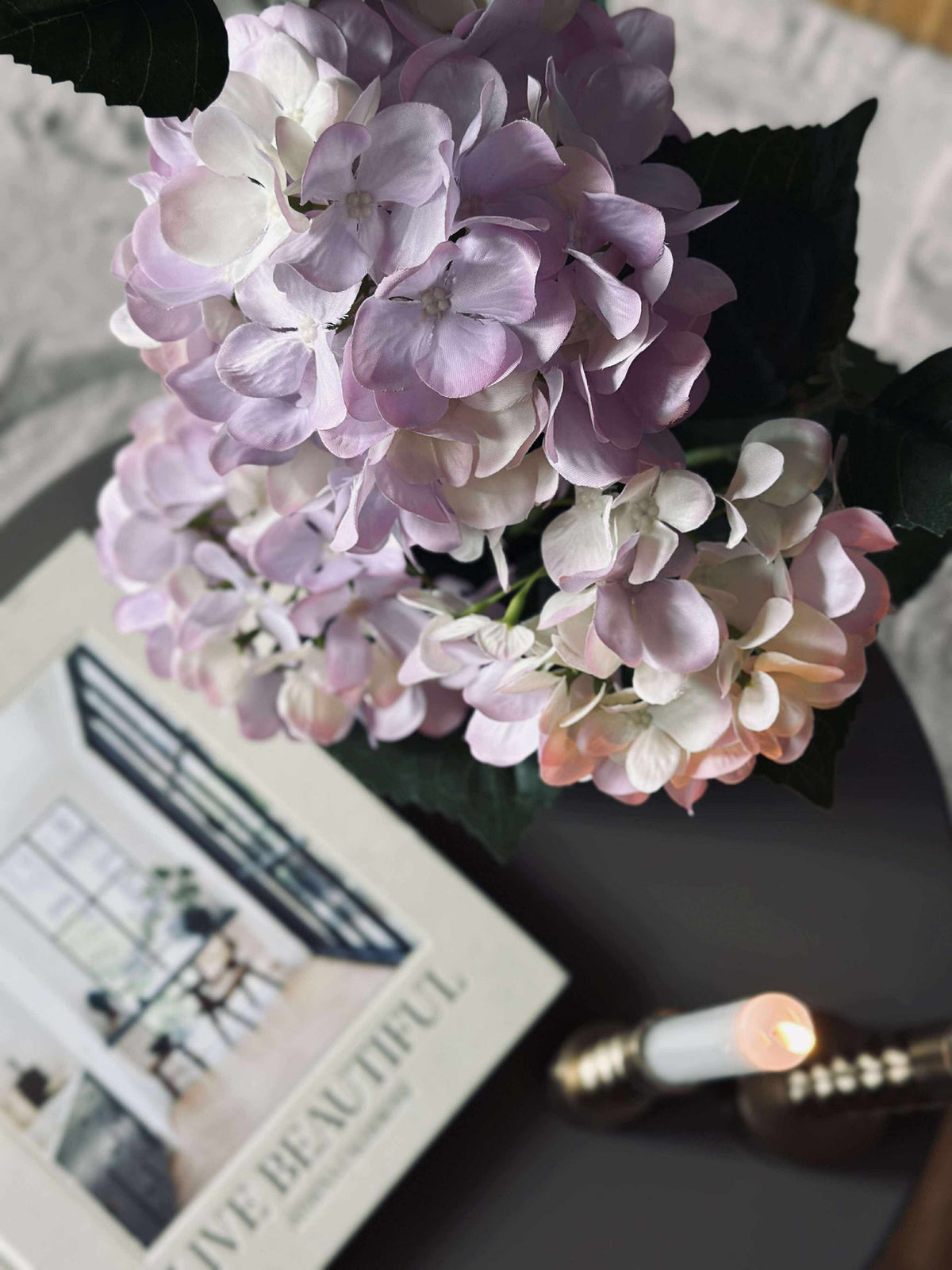 Hortensia in pot - Lila