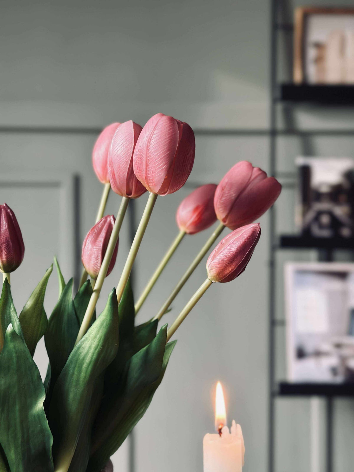 Tulpen – Meerdere kleuren