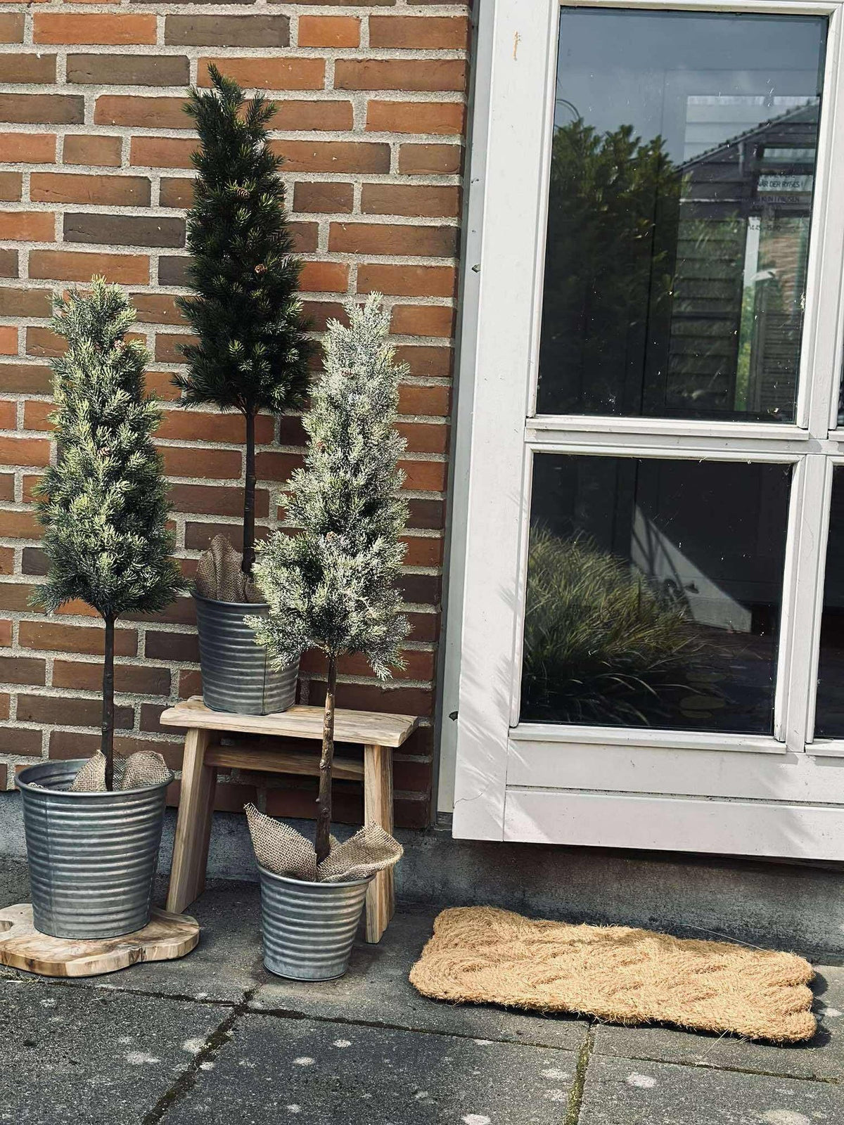 Pinetree MIX - 106 cm