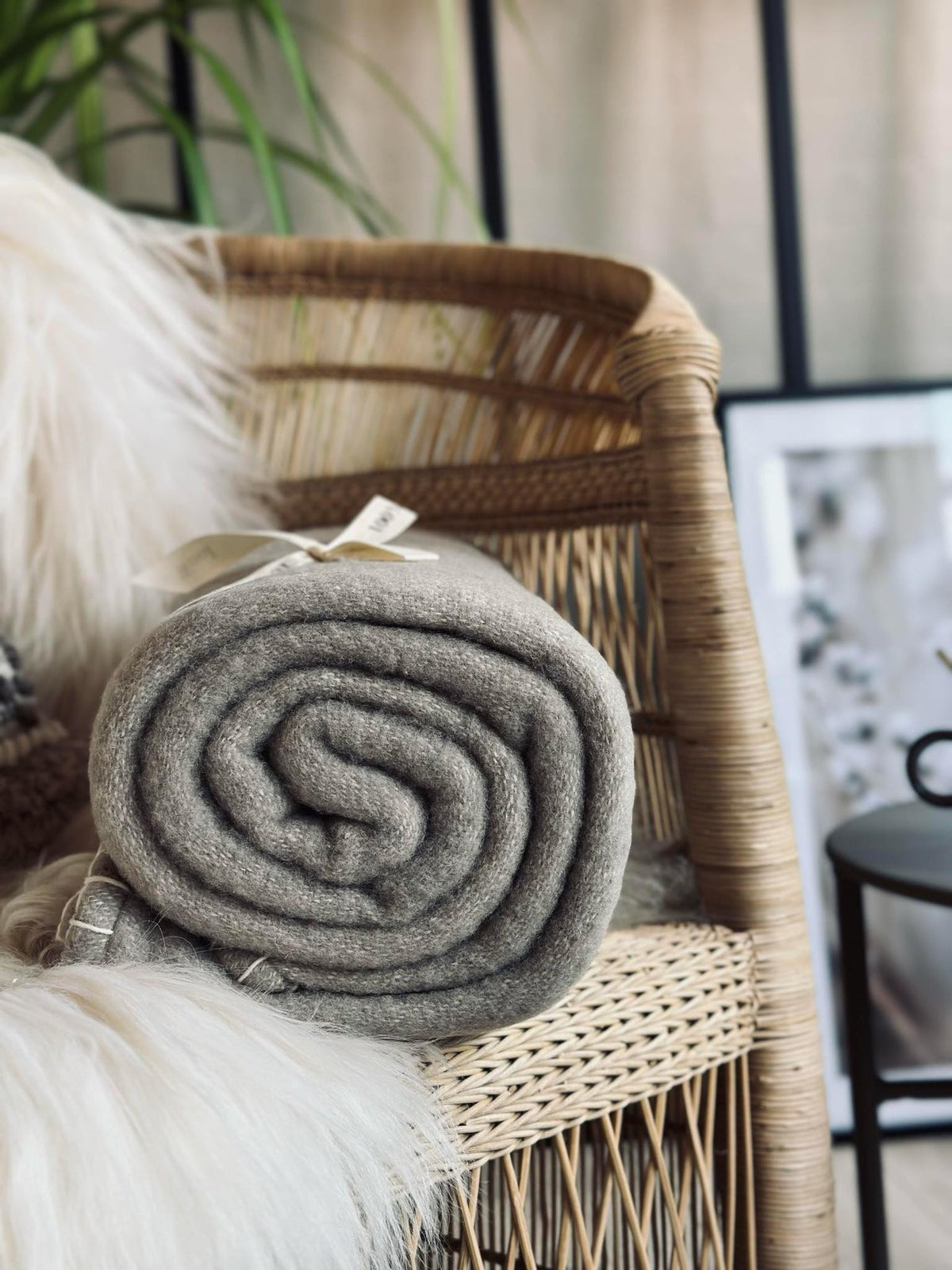 Plaid 100 % wol - Beige / naturel
