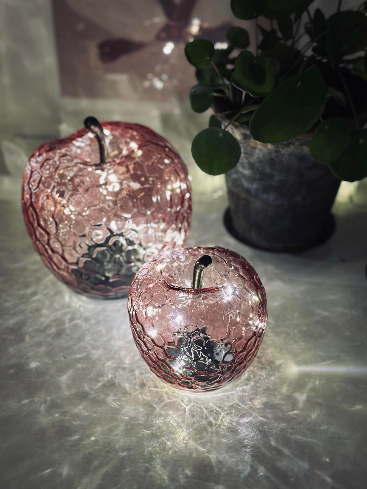 Appel Pink - Large