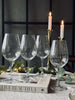 Wijnglazen witte wijn  CRYSTAL - Set van 4 stuks