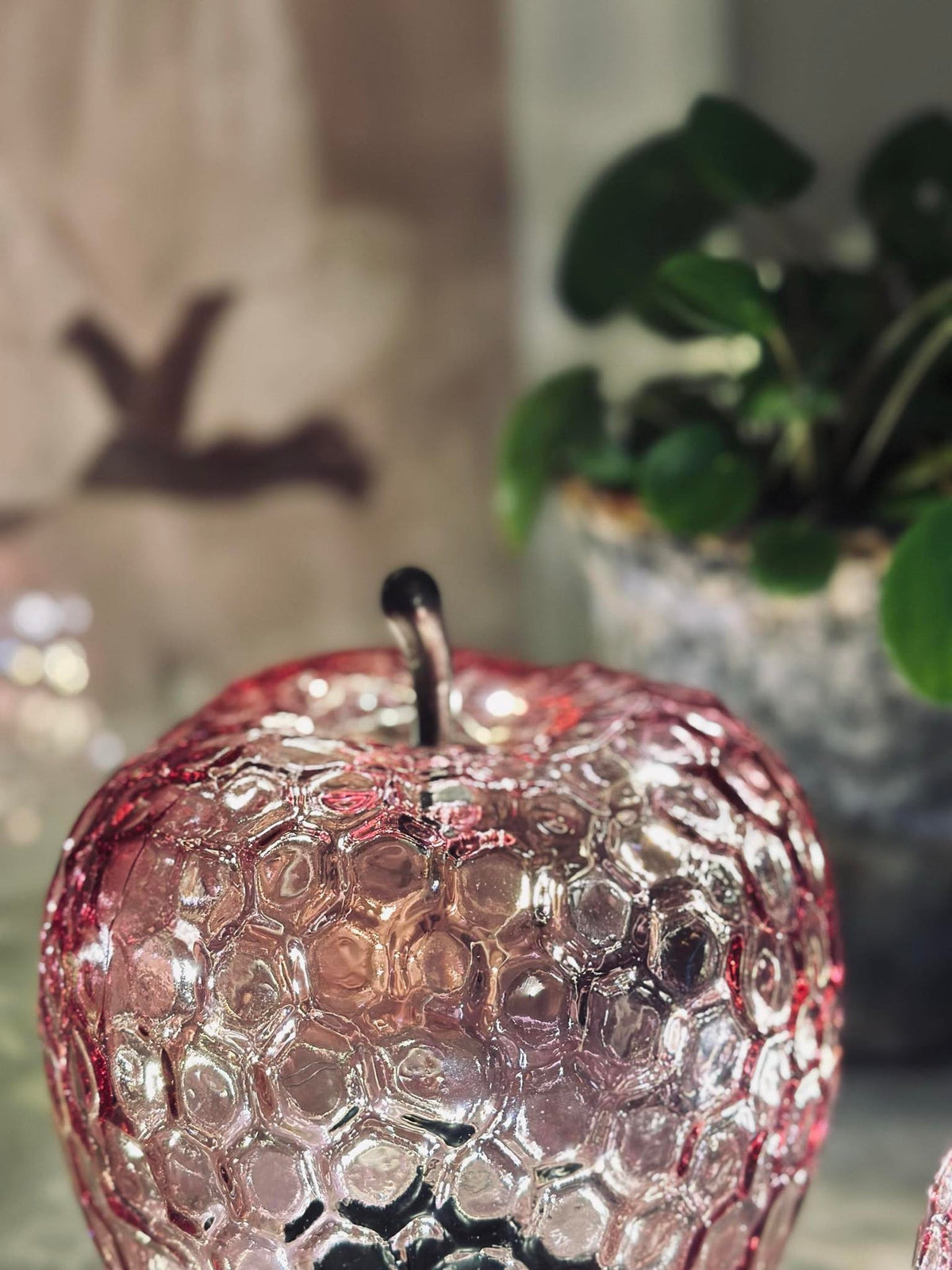 Appel Roze - Small