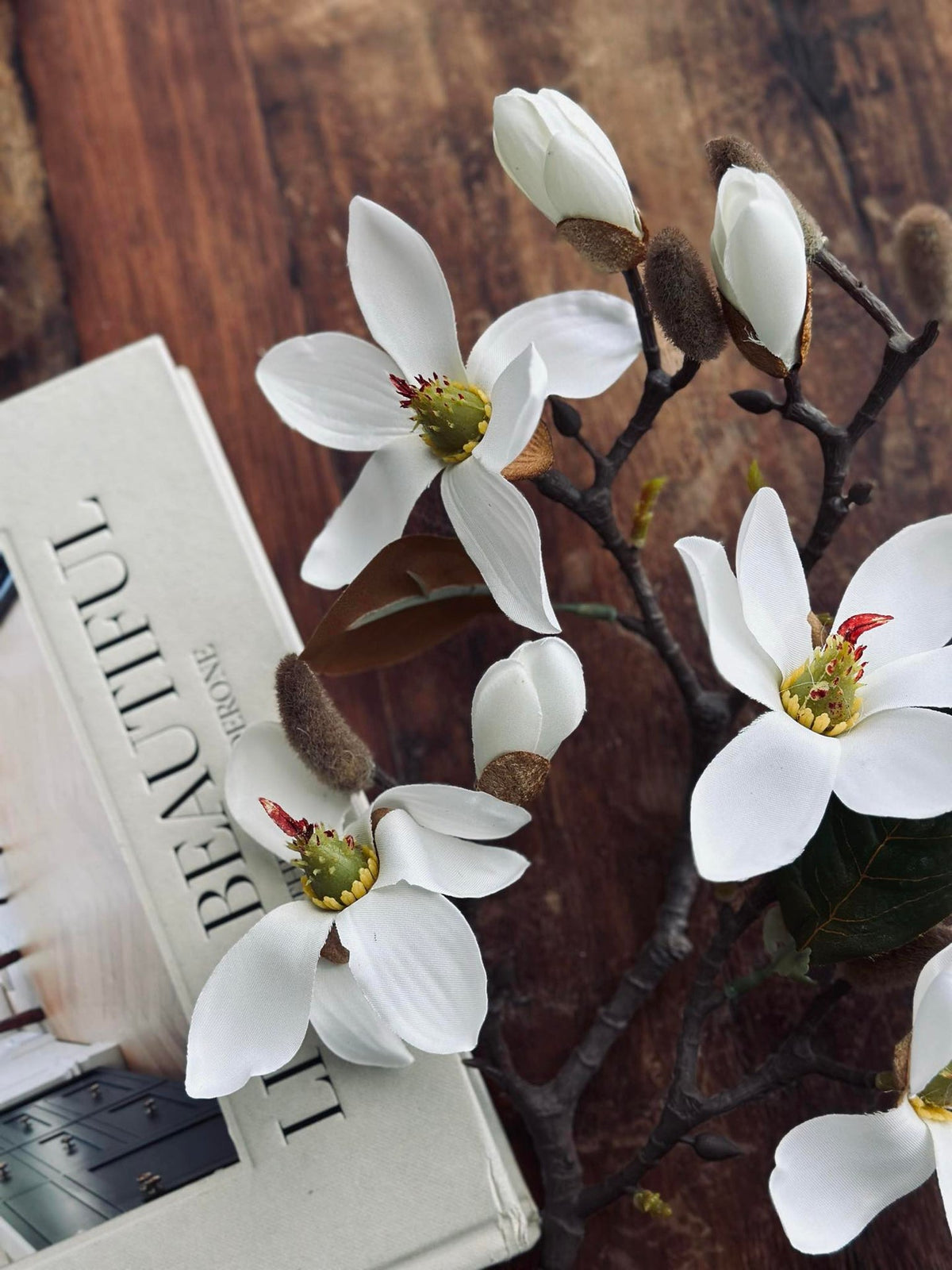 Magnoliatak - 52cm