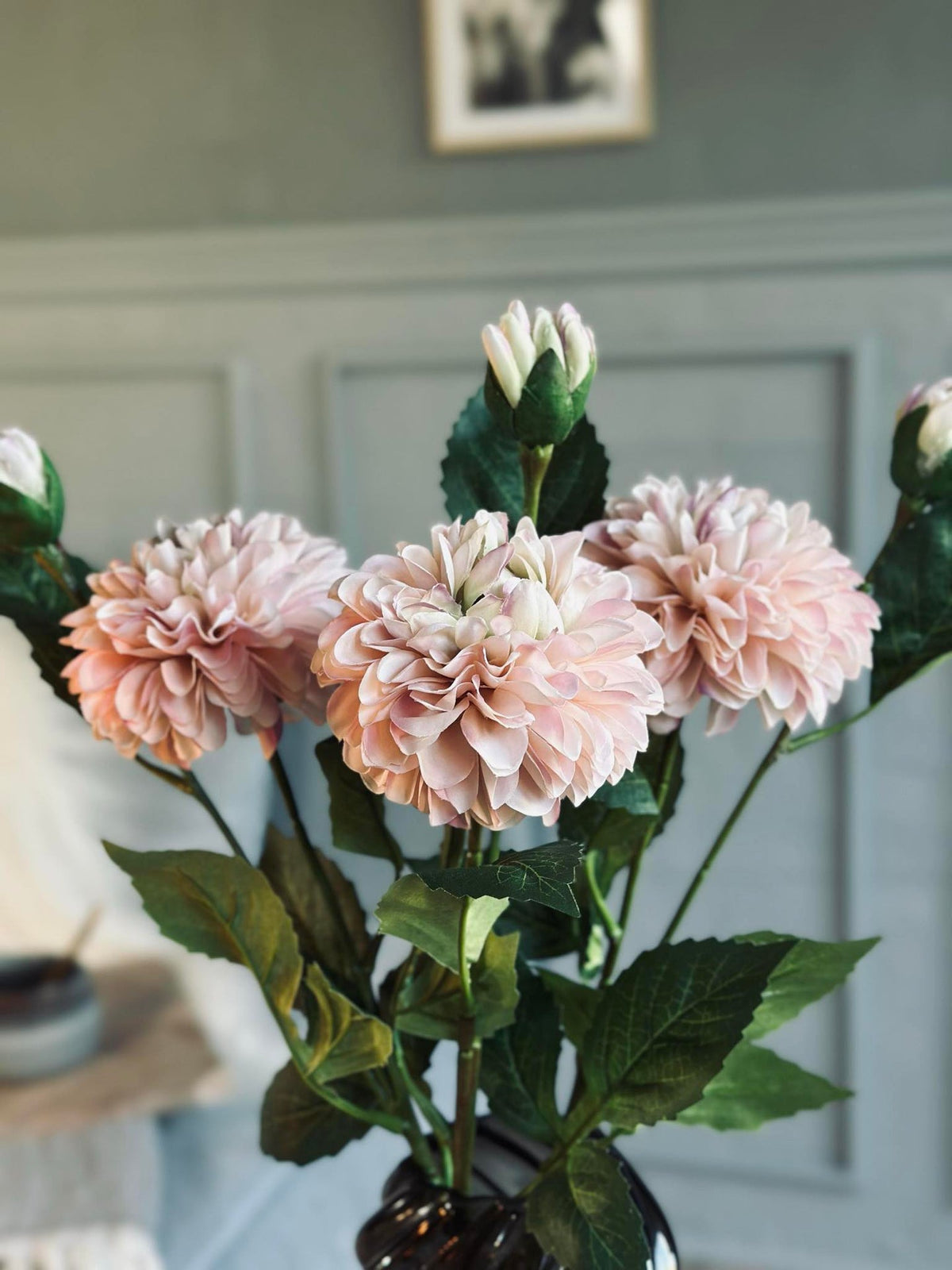 Bloem Dahlia