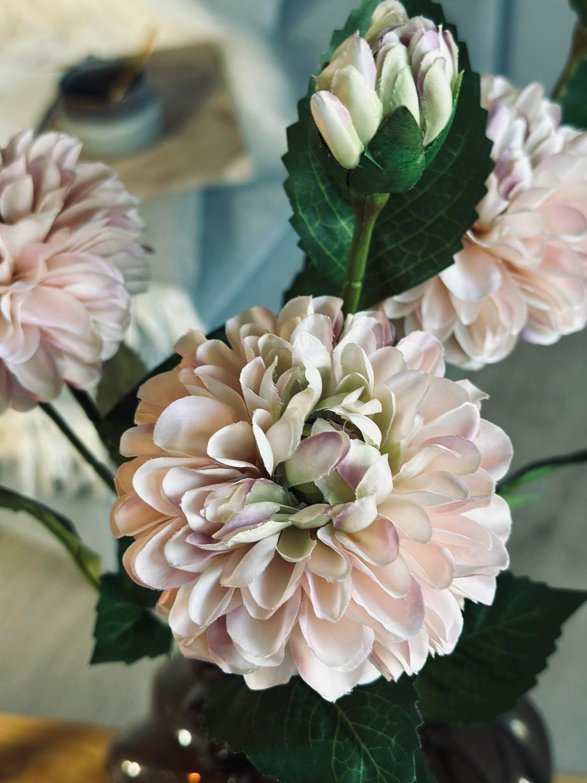 Bloem Dahlia