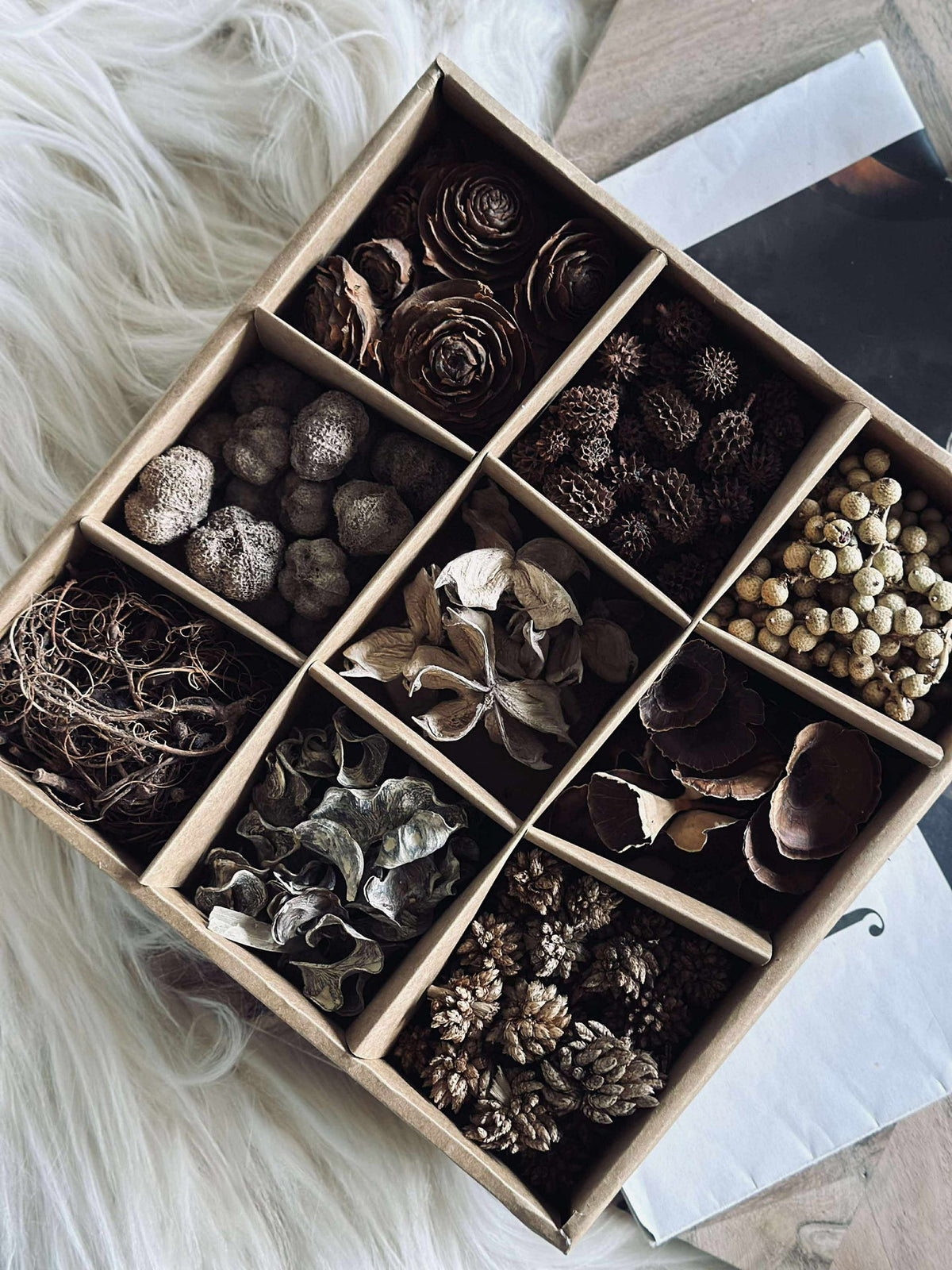 Decoratieve kist met natuurversiering - MIX