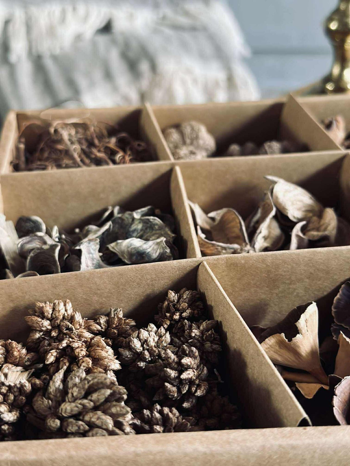 Decoratieve kist met natuurversiering - MIX