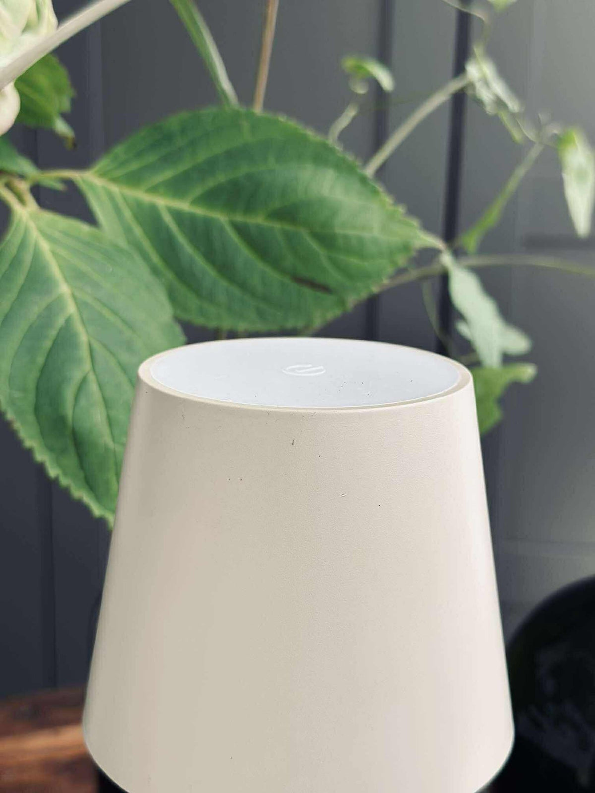 LED-lamp voor wijnfles - Crème MIX