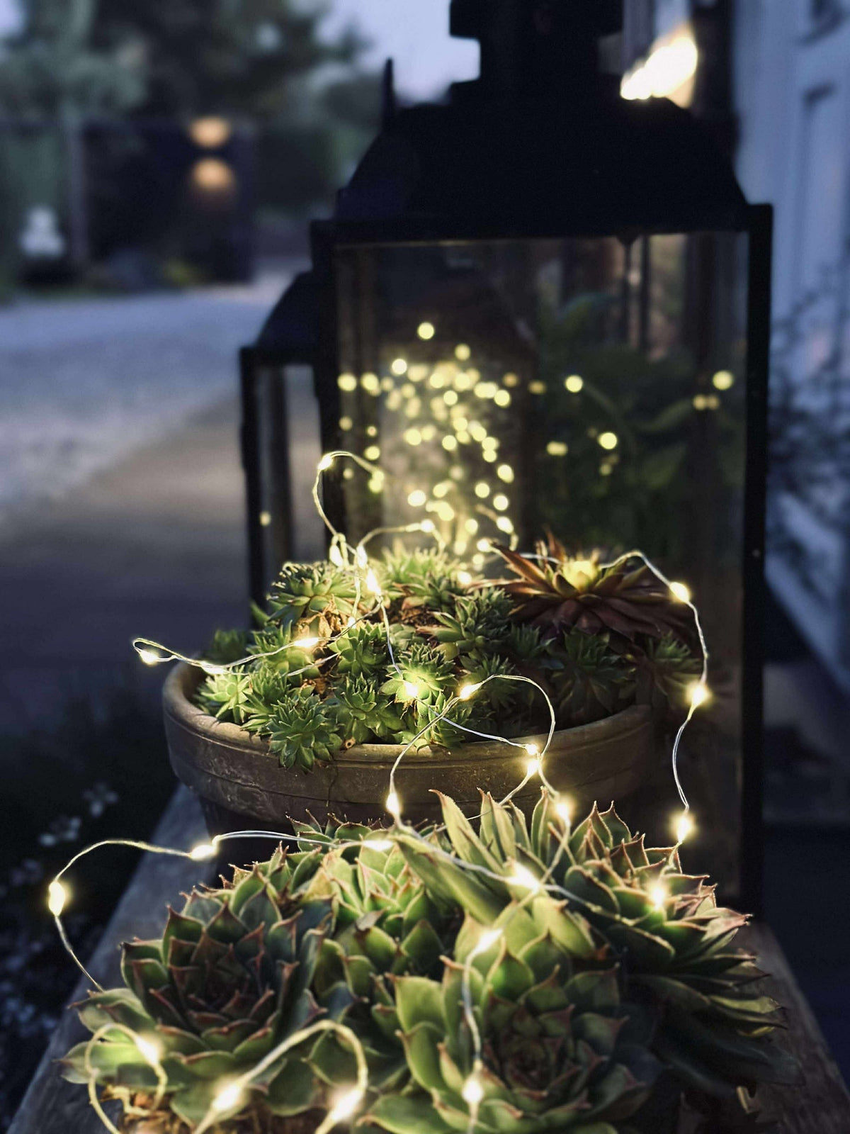 Lichtsnoer Marly m. Solar - 100 lichtjes