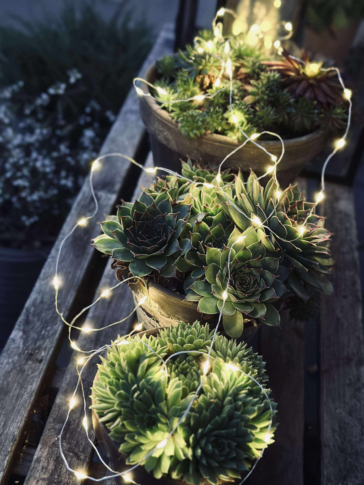 Lichtsnoer Marly m. Solar - 100 lichtjes
