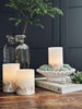 LED Nature – Set van 3 stuks en afstandsbediening