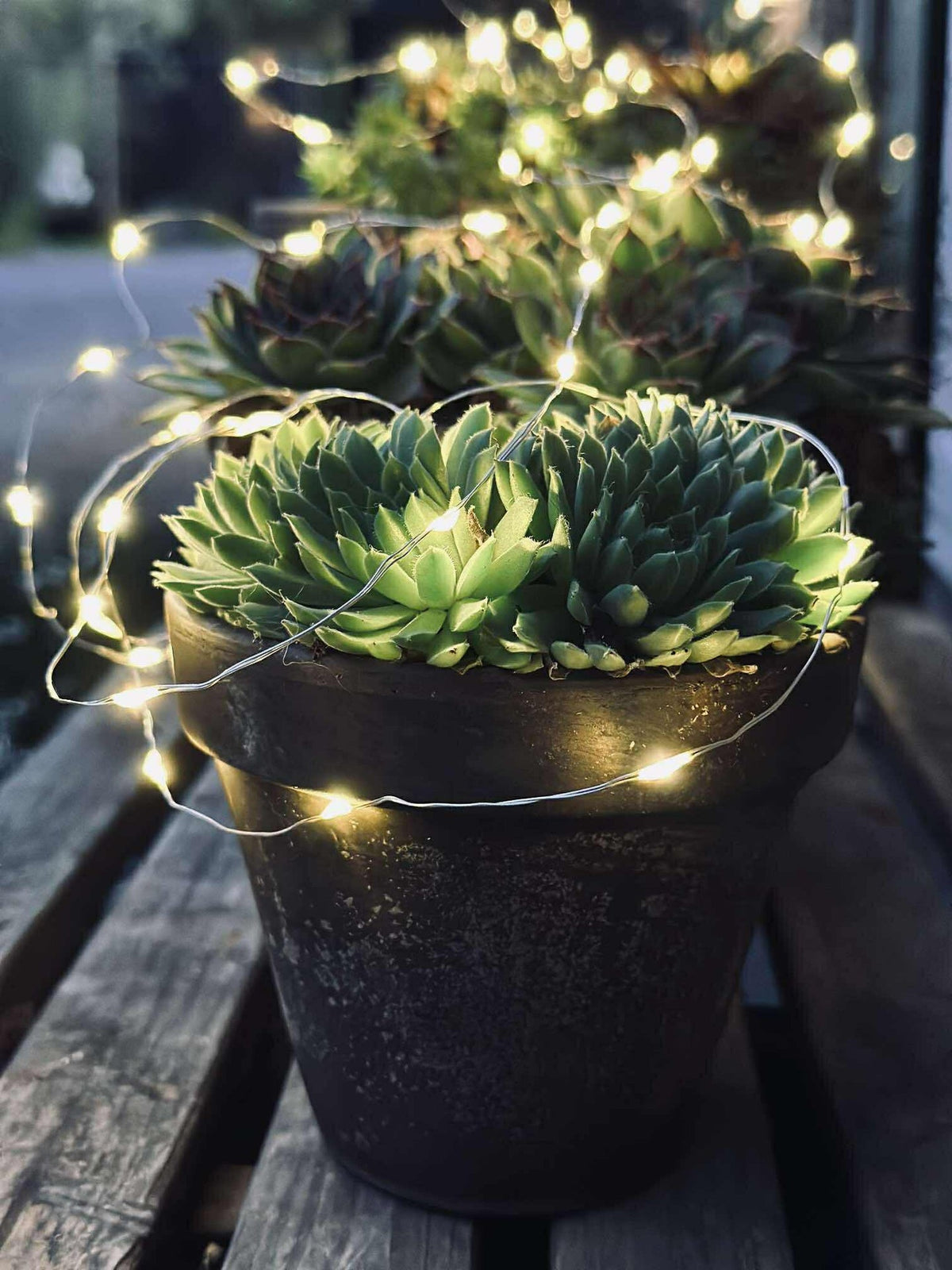 Lichtsnoer Marly m. Solar - 100 lichtjes
