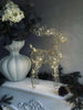 Rendier met ledlicht