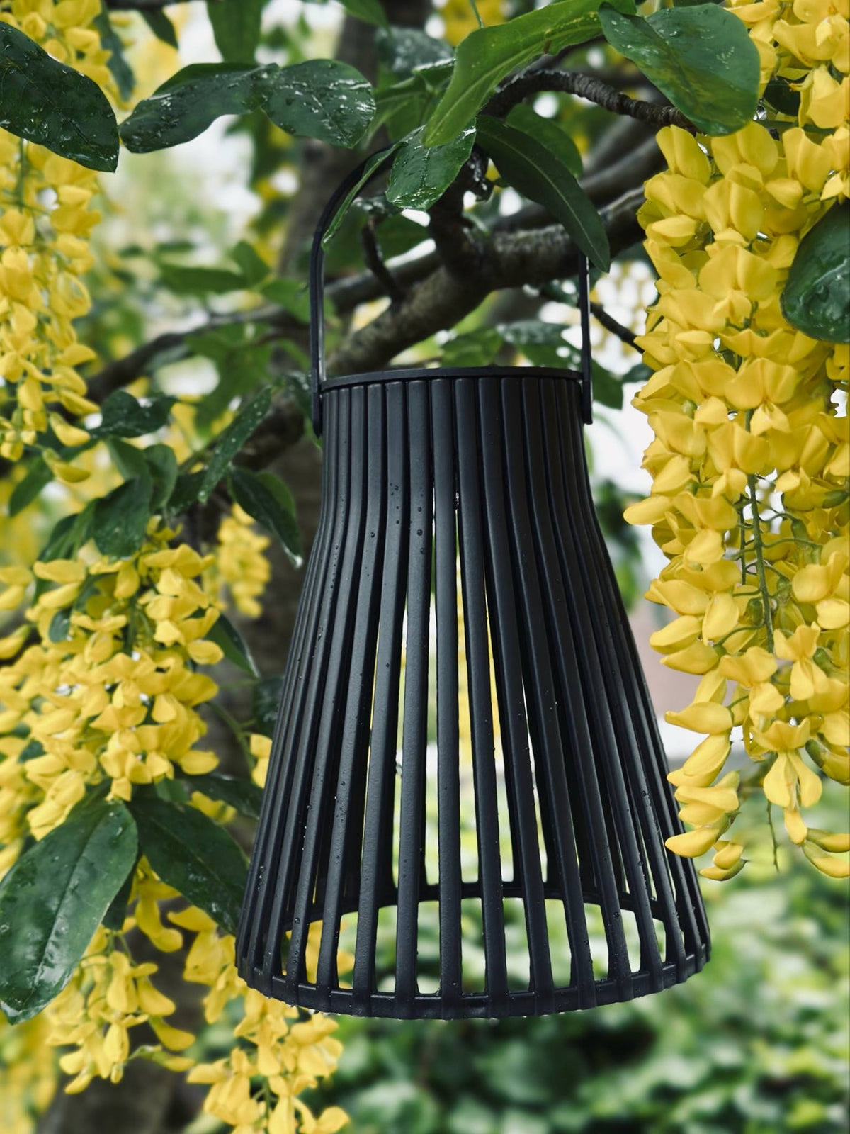 Lantaarn met zonnecellen - GARDEN BLACK 14cm