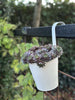Pot met ribbels en ophanging - Wit
