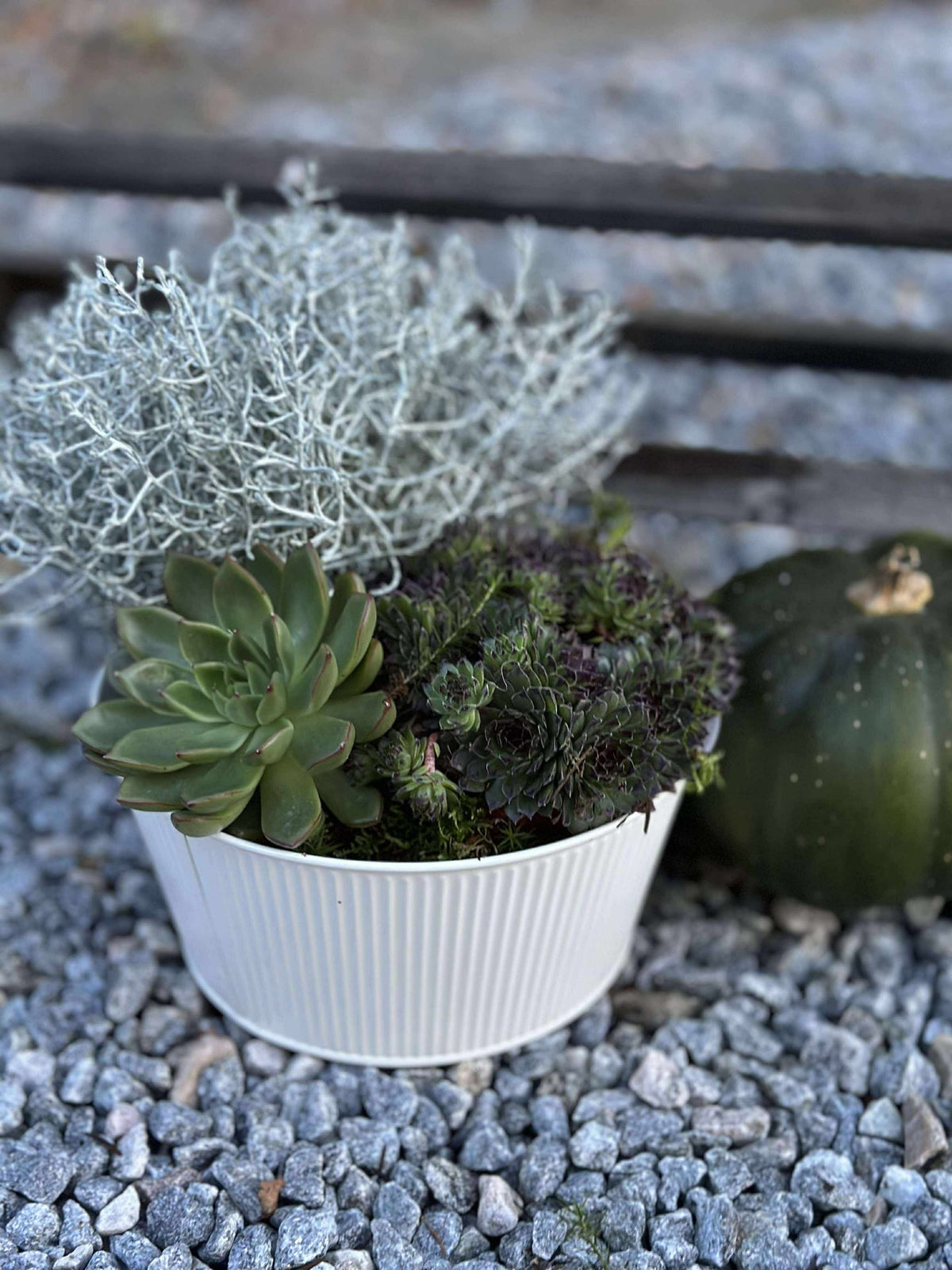 Ronde plantenpot met ribbels