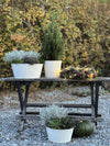 Ronde plantenpot met ribbels