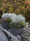 Ronde plantenpot met groeven - Grijs