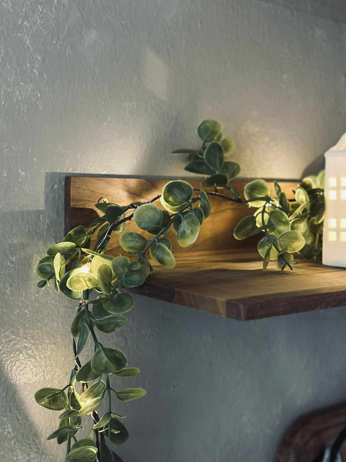Lichtslinger met groene eucalyptusbladeren