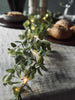 Lichtslinger met groene eucalyptusbladeren
