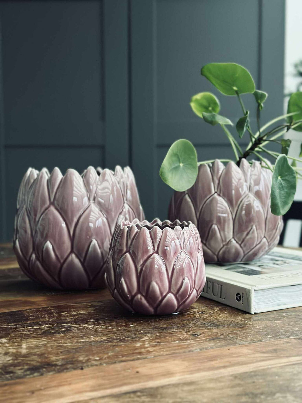 Pot Lavendel - Meerdere maten