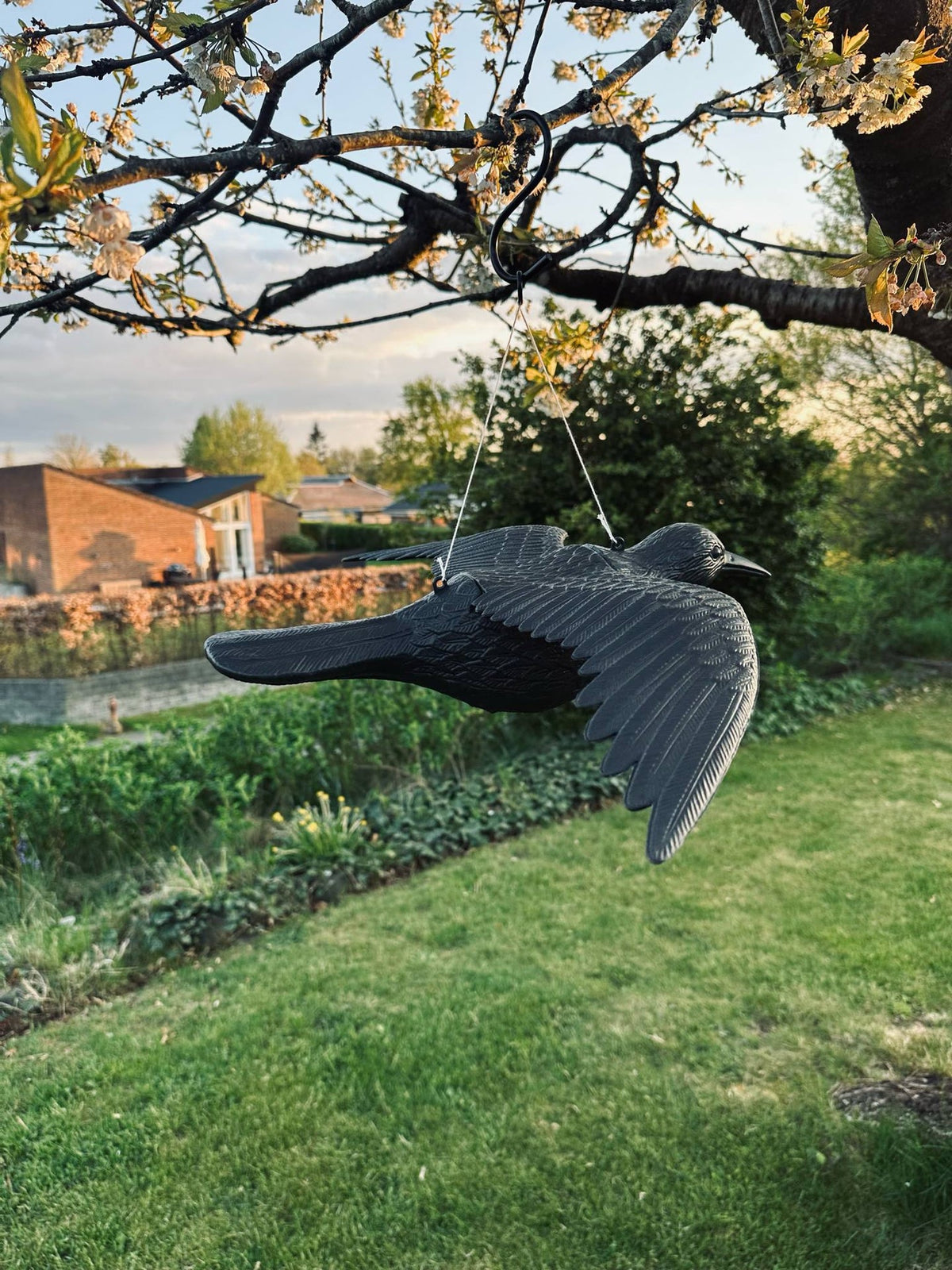 Vogel - RAVEN BLACK