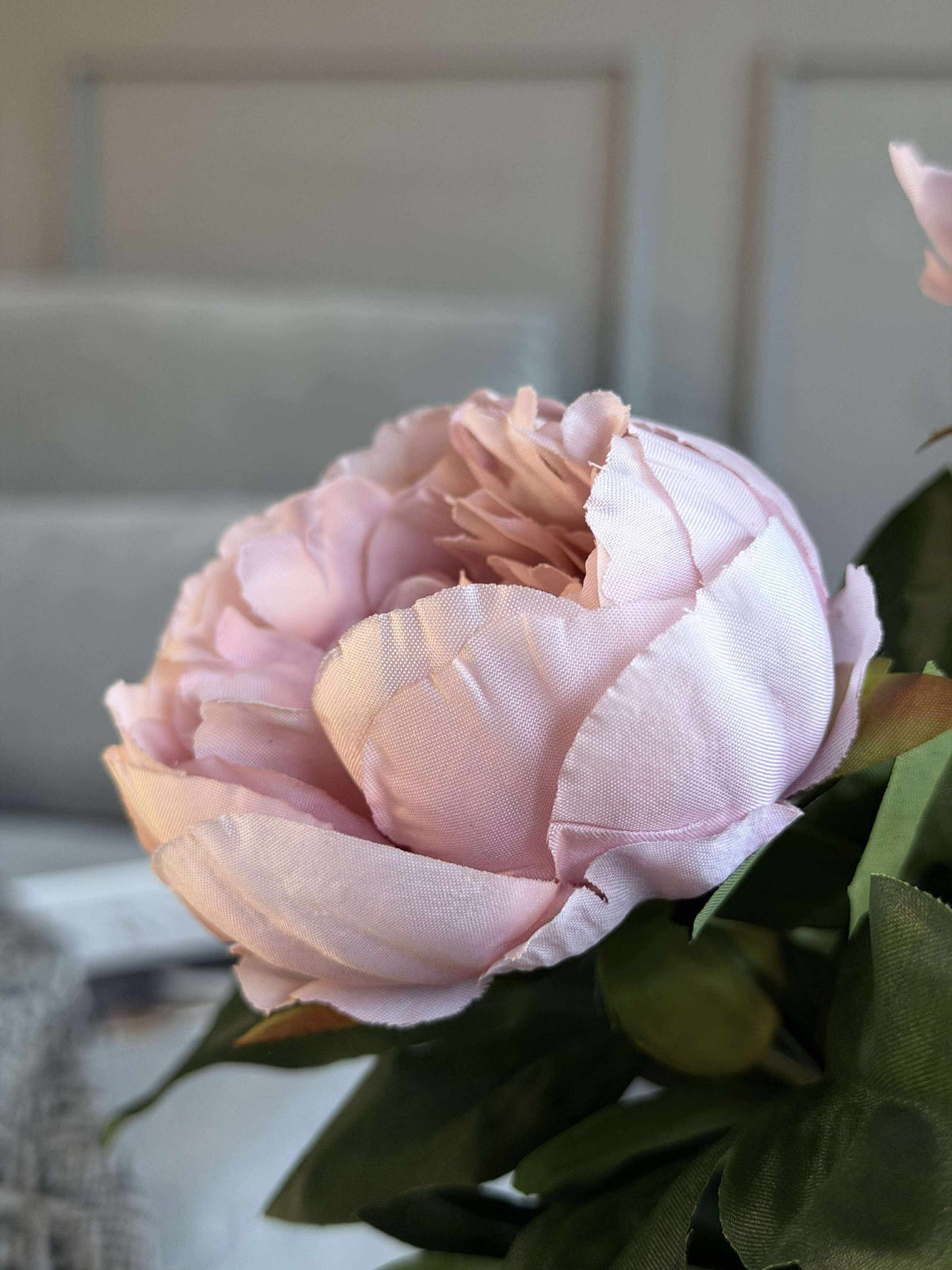 Pioen in pot - Roze