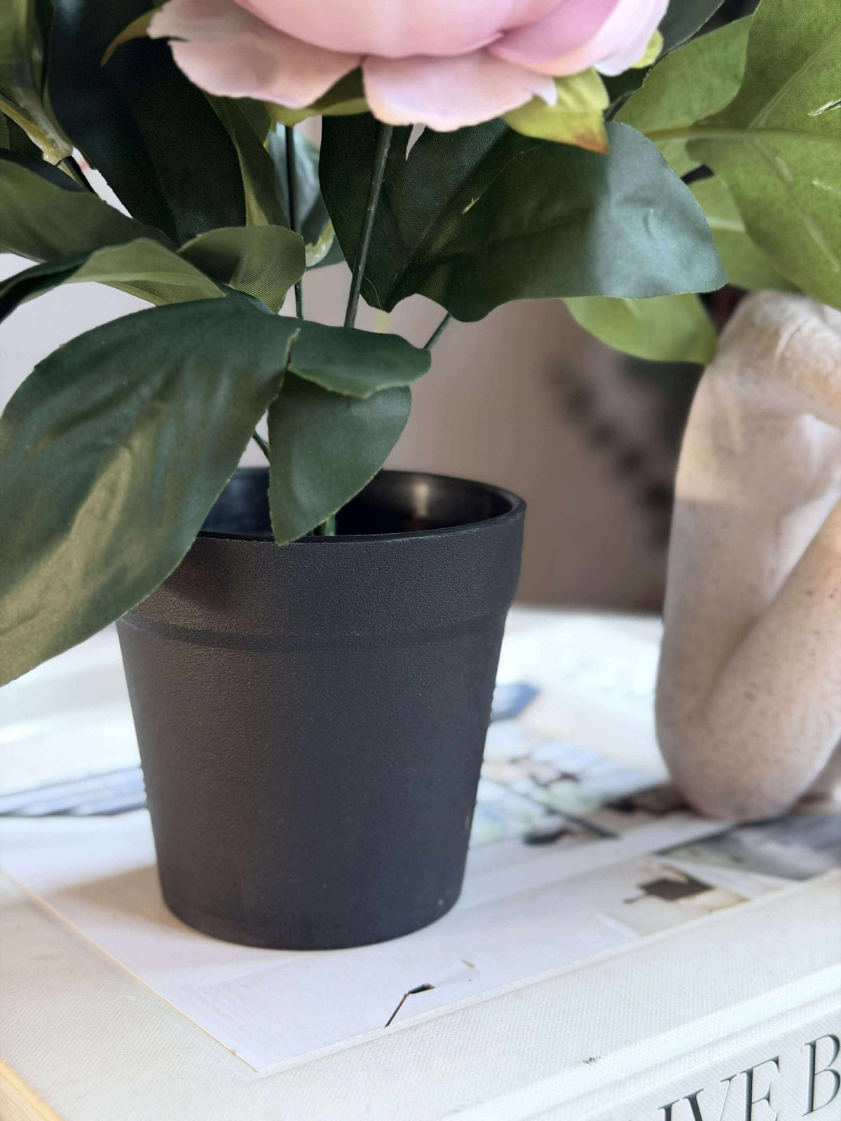Pioen in pot - Roze