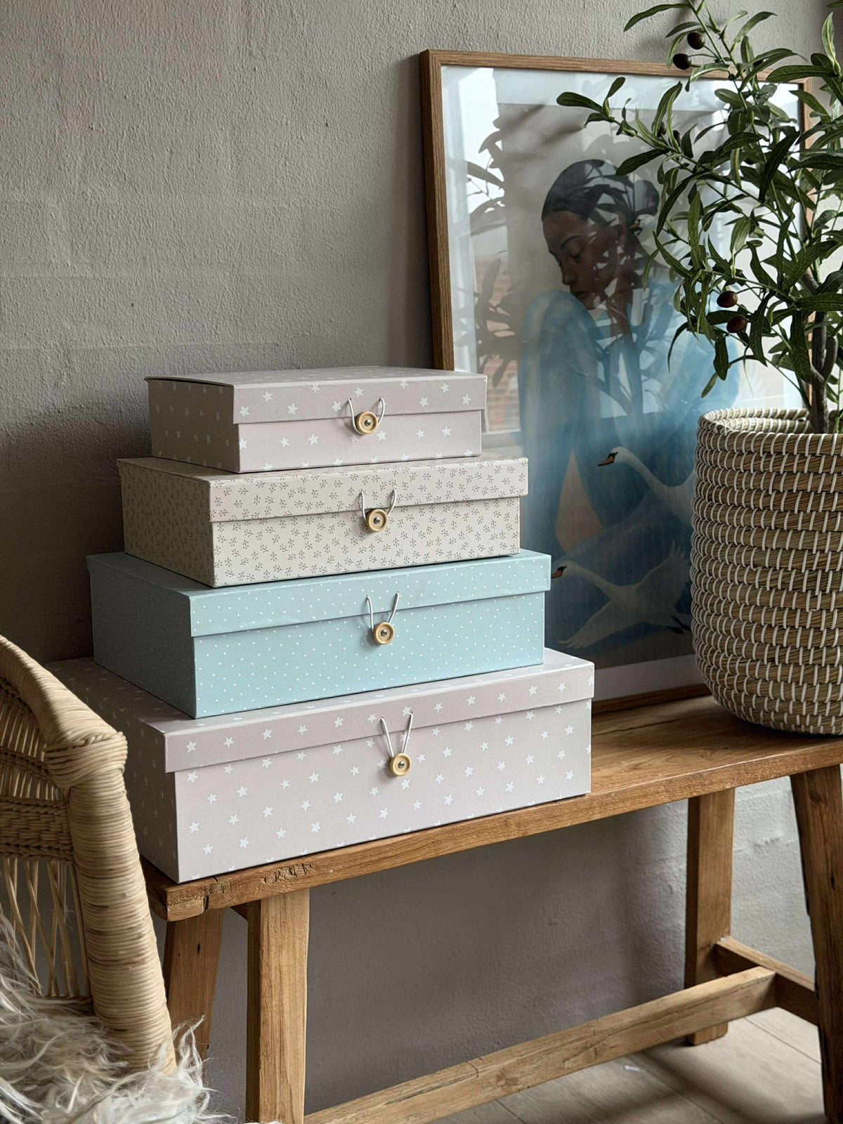 Opbergen - dozen 4 stuks