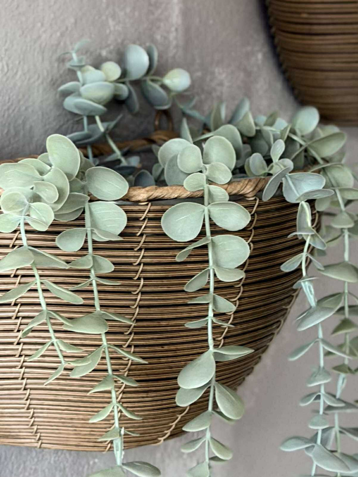 Plantenmand Rotan