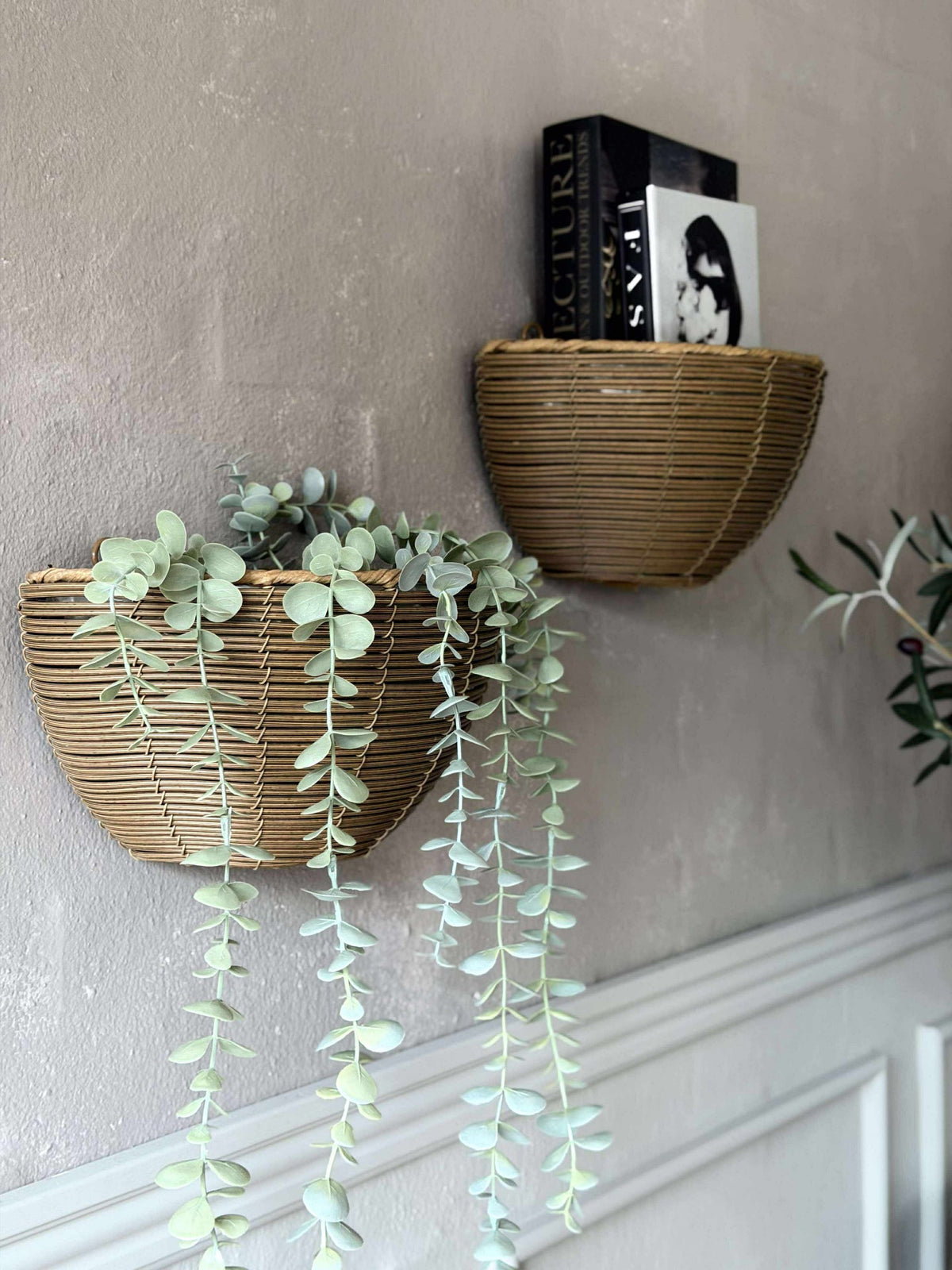 Plantenmand Rotan