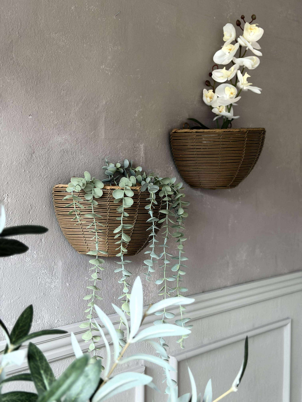 Plantenmand Rotan