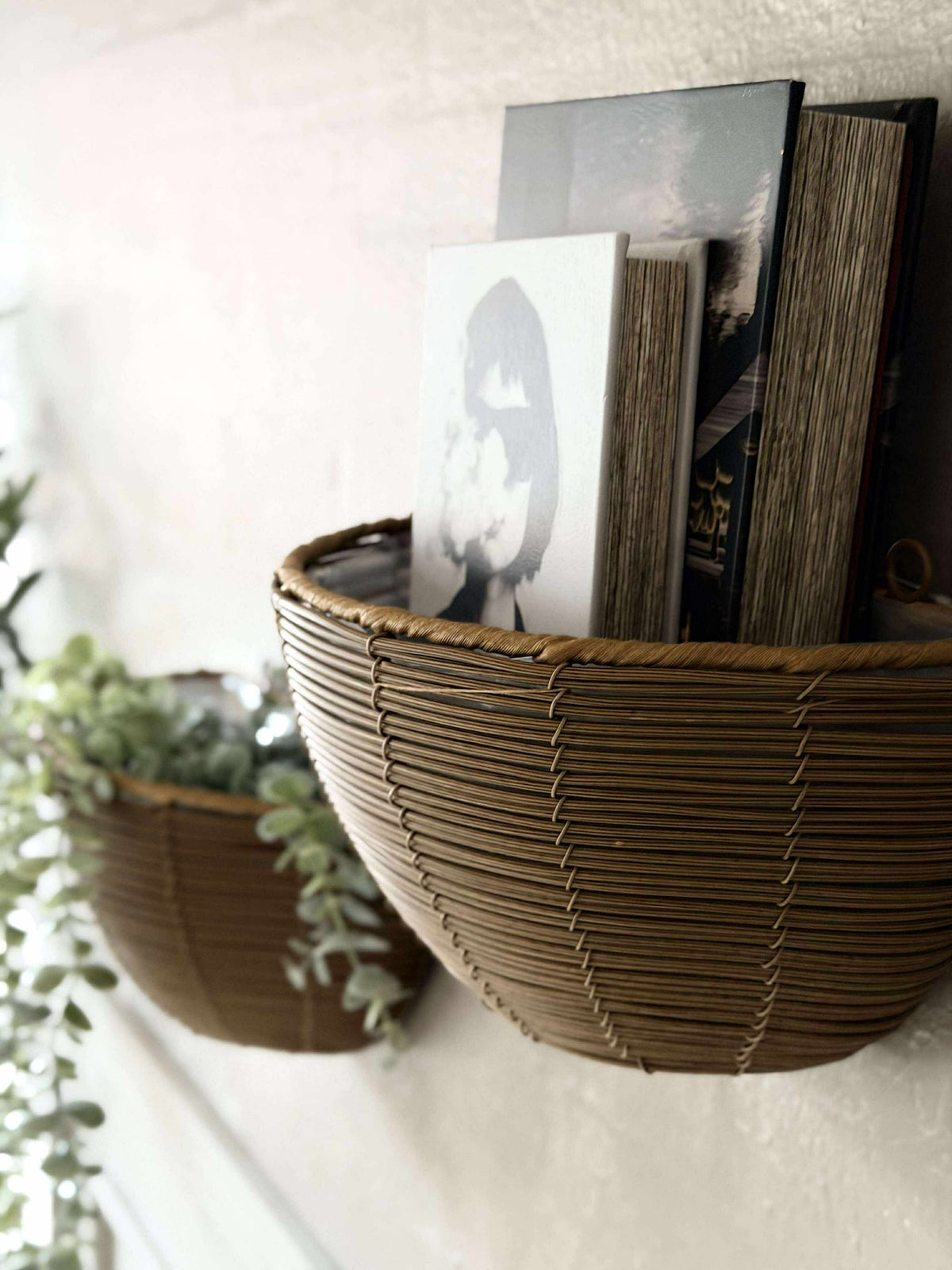 Plantenmand Rotan
