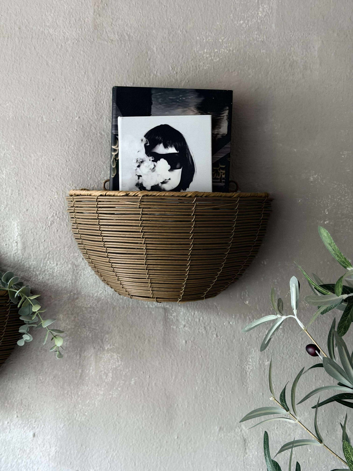 Plantenmand Rotan
